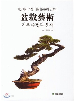 분재예술 기본수형과 분석