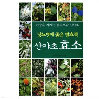 당뇨병에 좋은 발효액 산야초 효소 by 동의보감약초사랑