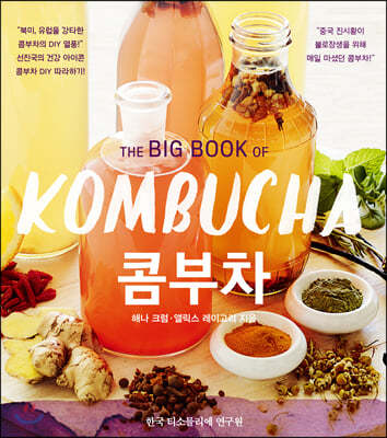 THE BIG BOOK OF KOMBUCHA 콤부차