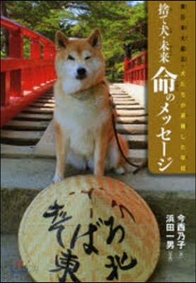 捨て犬.未來命のメッセ-ジ 東日本大震災.犬たちが避難した學校