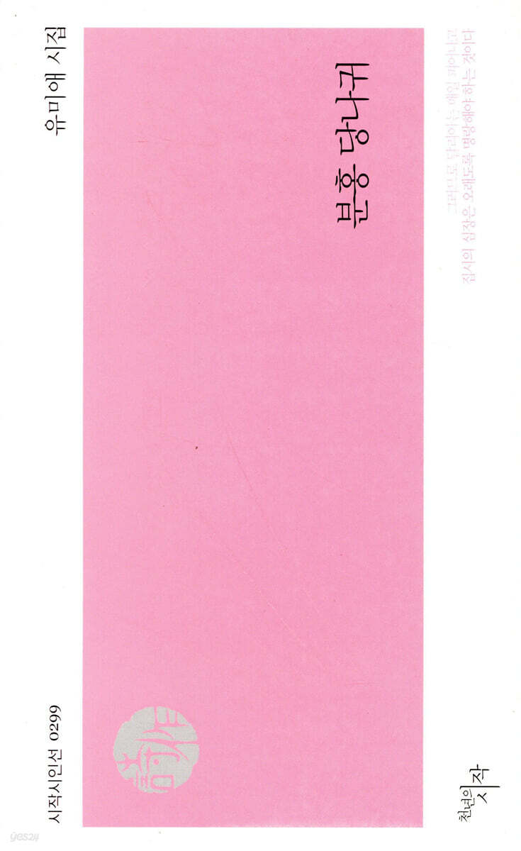 분홍 당나귀