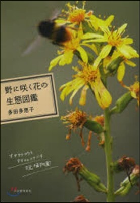 野にさくく花の生態圖鑑