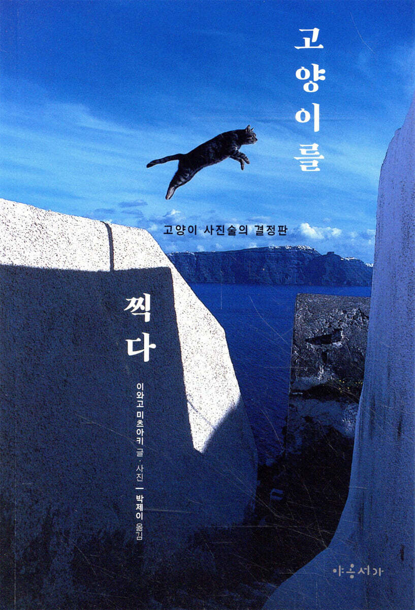 고양이를 찍다