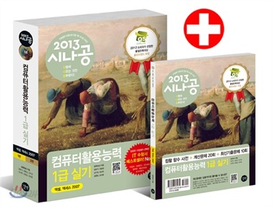 2013 시나공 컴퓨터활용능력 1급 실기