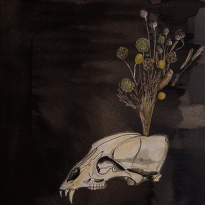 Steve Gunn & the Black Twig Pickers — Seasonal Hire (Download Code) 앨범 커버