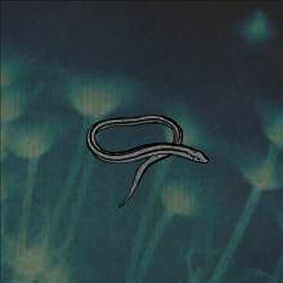 Crooked Fingers — Bring On The Snakes (Reissue)(MP3 Download) 앨범 커버