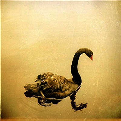 Crooked Fingers — Crooked Fingers (Limited Edition)(MP3 Download) 앨범 커버