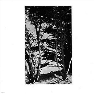 Rick Deitrick — Gentle Wilderness 앨범 커버