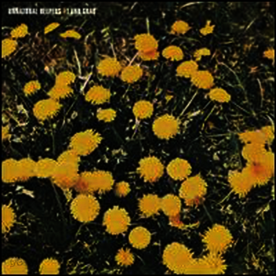 Unnatural Helpers - Land Grab (LP)
