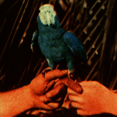 Andrew Bird — Are You Serious (Deluxe Edition)(Gatefold) 앨범 커버