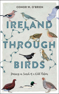 Ireland Through Birds