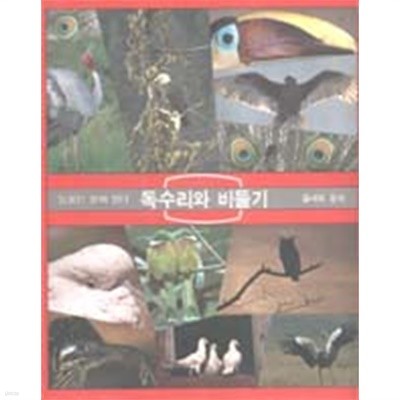 독수리와 비둘기 (Wild Wild World of Animals)