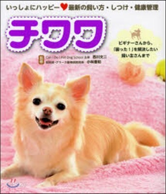 いっしょにハッピ- チワワ