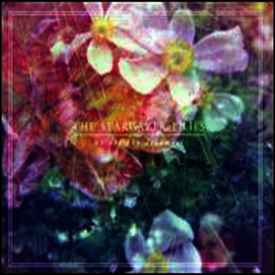 Stargazer Lillies — We Are The Dreamers 앨범 커버
