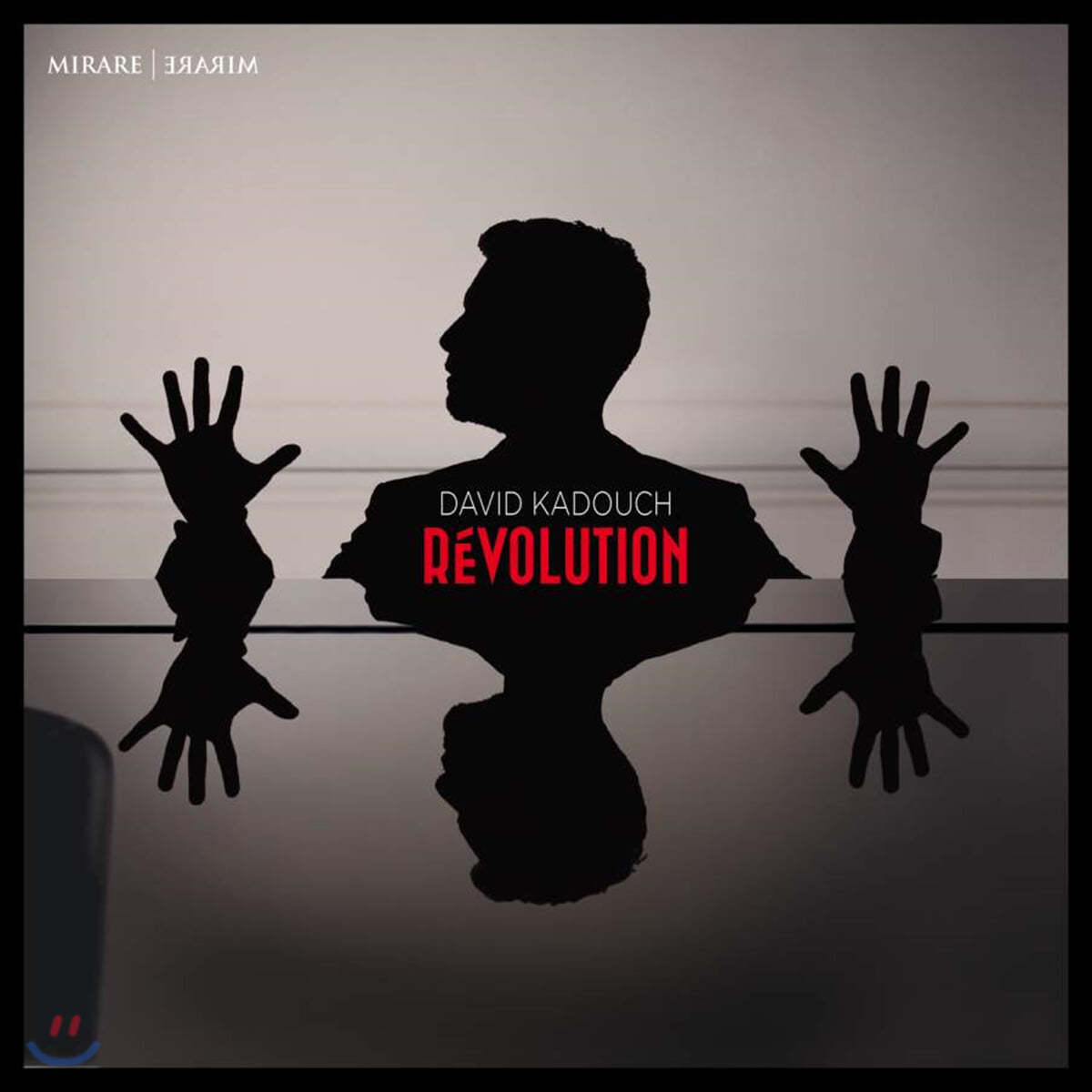 David Kadouch 다비드 카두쉬 피아노 연주집 - 혁명을 주제로 한 작품들 (Revolution)