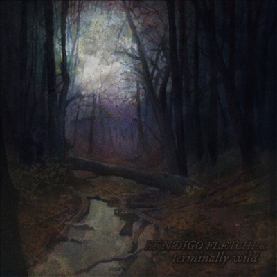 Bendigo Fletcher — Terminally Wild / Sleeping Pad 앨범 커버