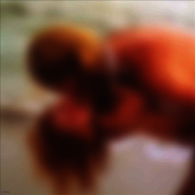 Special Request — Bedroom Tapes 앨범 커버