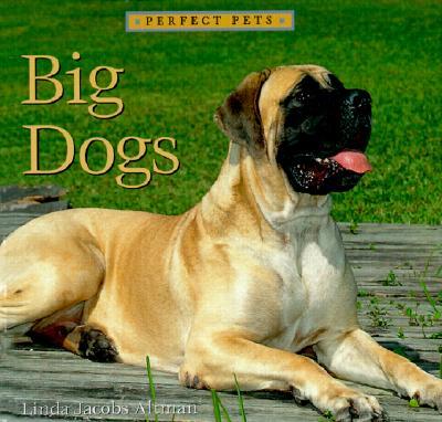 Big Dogs