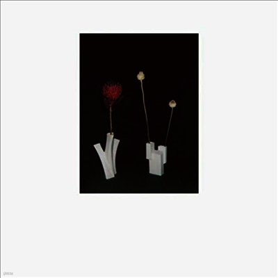 Felicia Atkinson — The Flower And The Vessel 앨범 커버