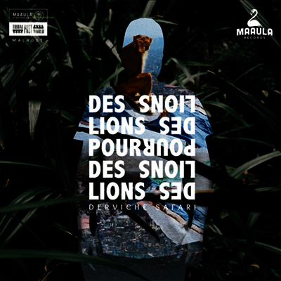Des Lions Pour Des Lions — Derviche Safari 앨범 커버