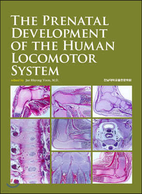 The Prenatal Development of the Human Locomotor System