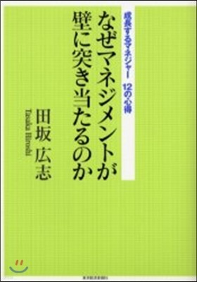 なぜマネジメントが壁に突き當たるのか 