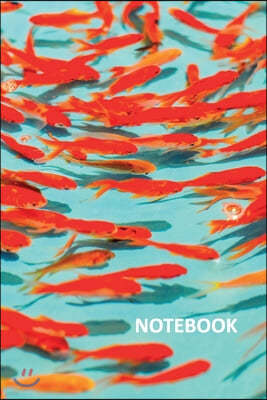 Notebook: Colorful schooling freshwater fish Stylish Composition Book Daily Journal Notepad Diary Student for researching goldfi