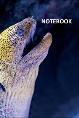 Notebook: Giant Moray Eel Cool Composition Book Daily Journal Notepad Diary Student for researching how to become a marine biolo