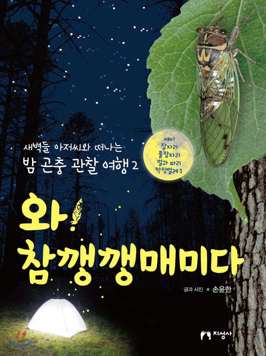 와! 참깽깽매미다