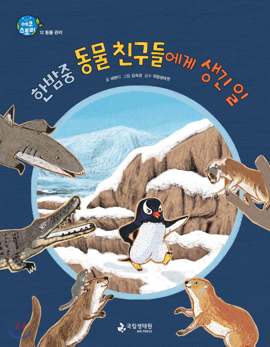 한밤중 동물 친구들에게 생긴 일