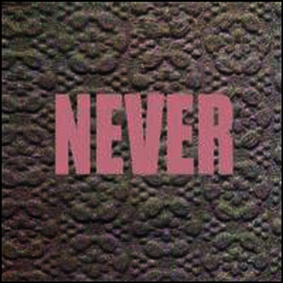 Micachu & the Shapes — Never (Download Card) 앨범 커버