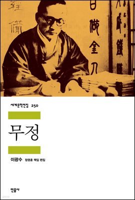 무정 - 세계문학전집 250