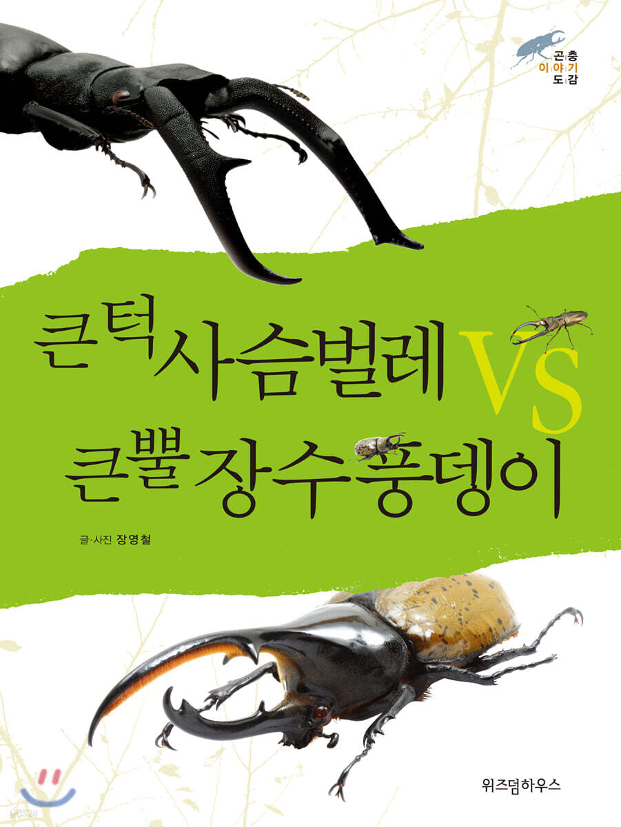 큰턱 사슴벌레 vs 큰뿔 장수풍뎅이