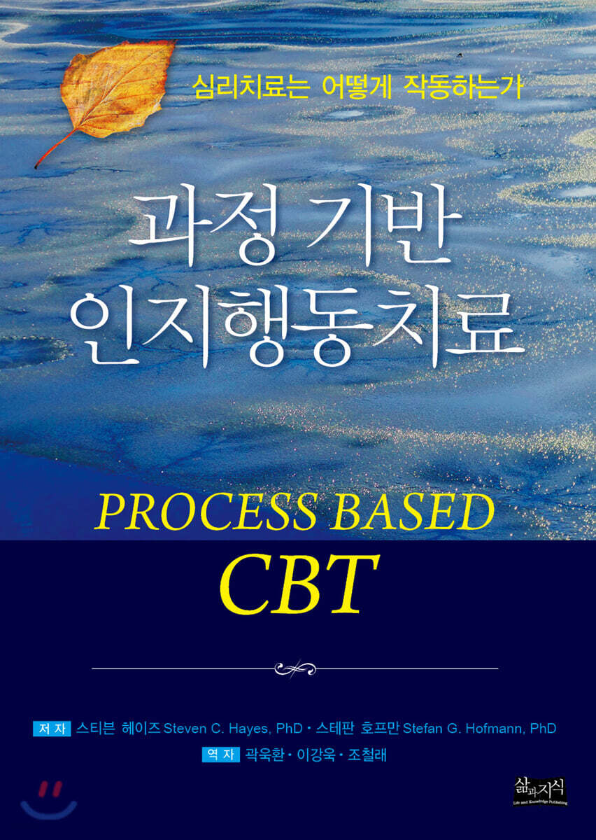 과정 기반 인지행동치료