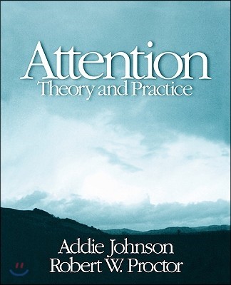 Attention: Theory and Practice