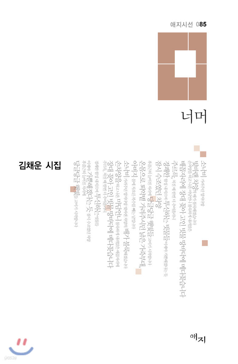 너머