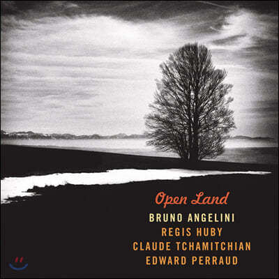 Bruno Angelini (브뤼노 앙젤리니) - Open Land