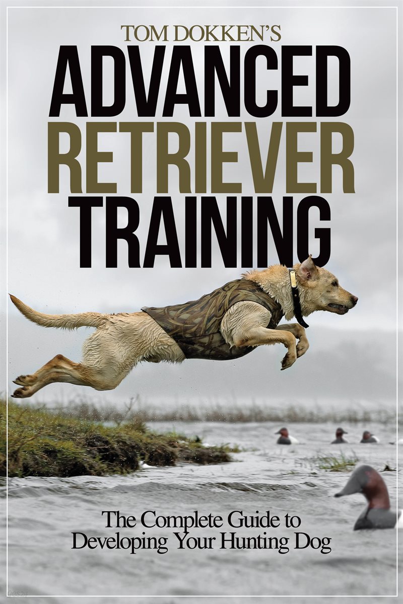 Tom Dokken&#39;s Advanced Retriever Training