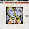 Bob James & David Sanborn ( ӽ & ̺ ) - Double Vision [LP]