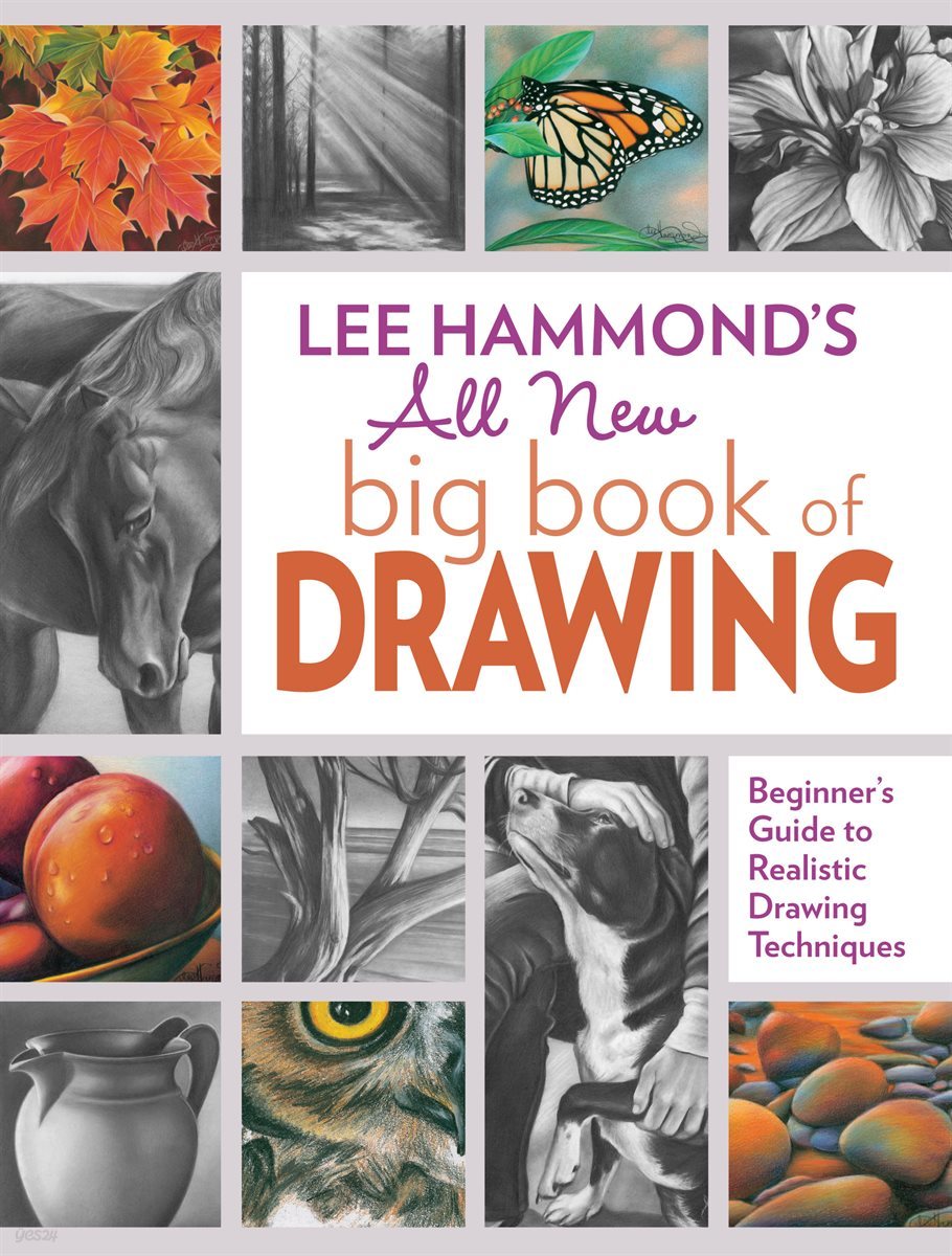 Lee Hammond&#39;s All New Big Book of Drawing