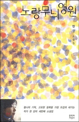 노랑무늬영원