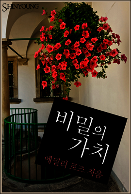 비밀의 가치