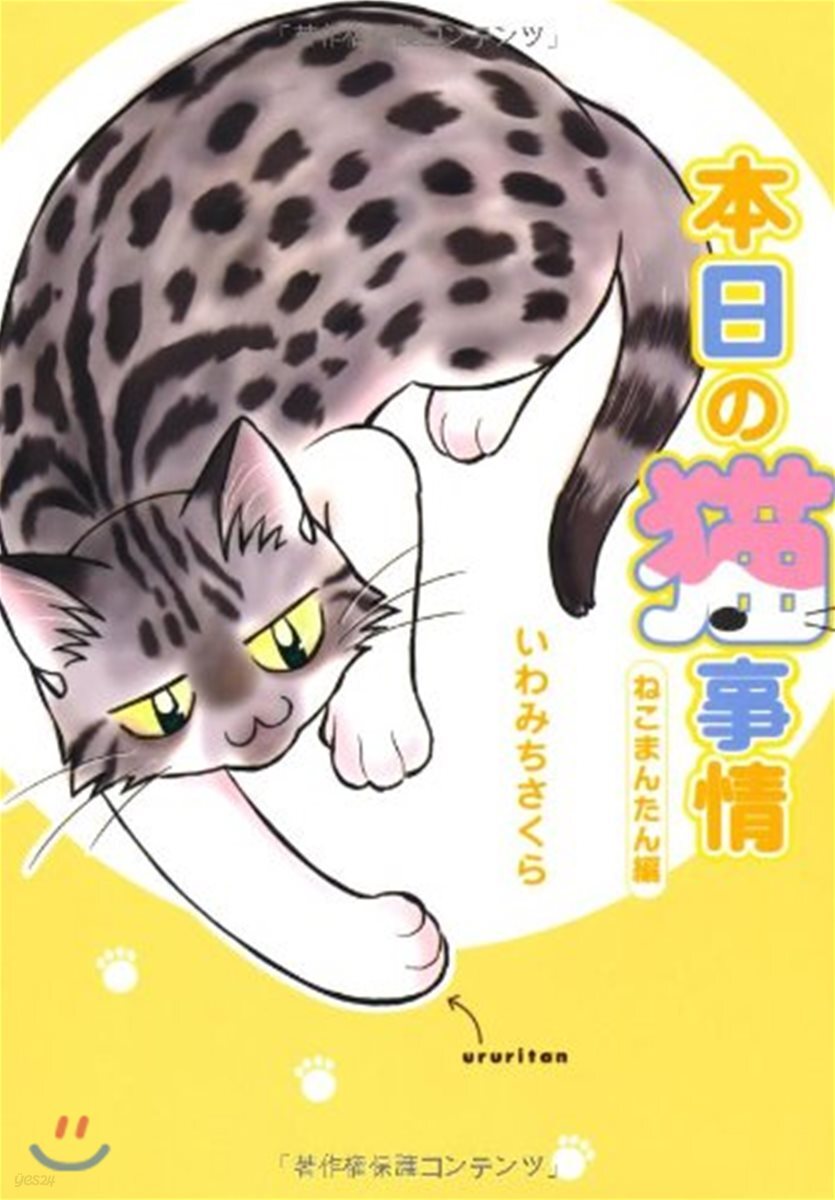 本日の猫事情 ねこまんたん編