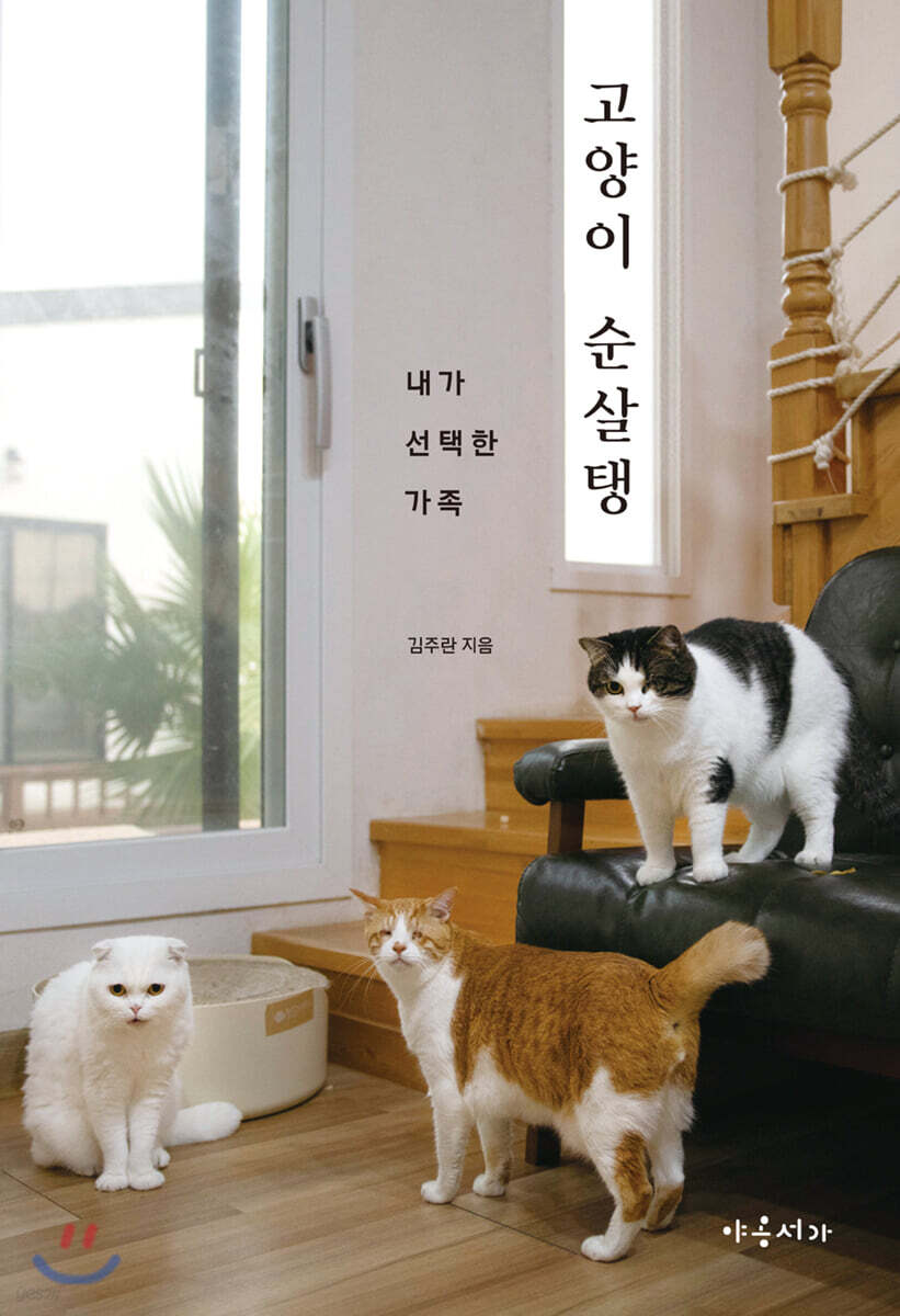 고양이 순살탱