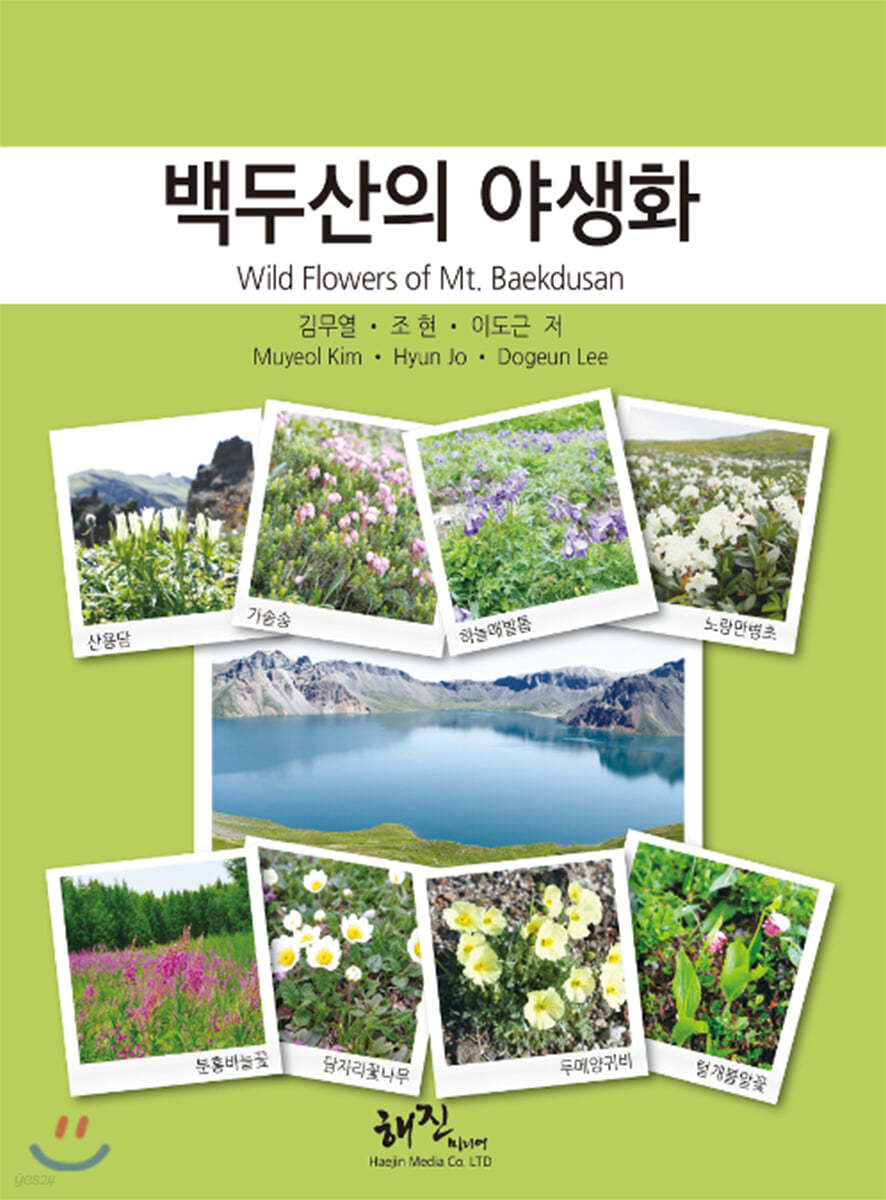 백두산의 야생화