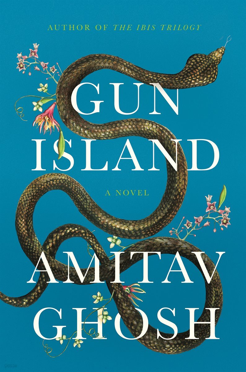 Gun Island