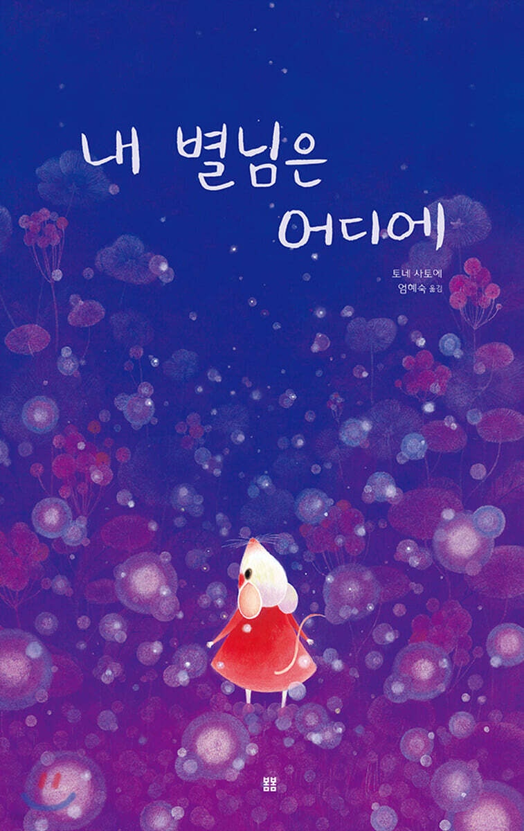 내 별님은 어디에