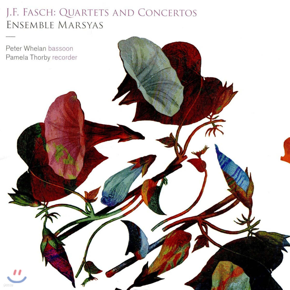 Peter Whelan / Pamela Thorby 요한 프리드리히 파슈: 사중주와 협주곡 (Johann Friedrich Fasch: Quartets and Concertos)