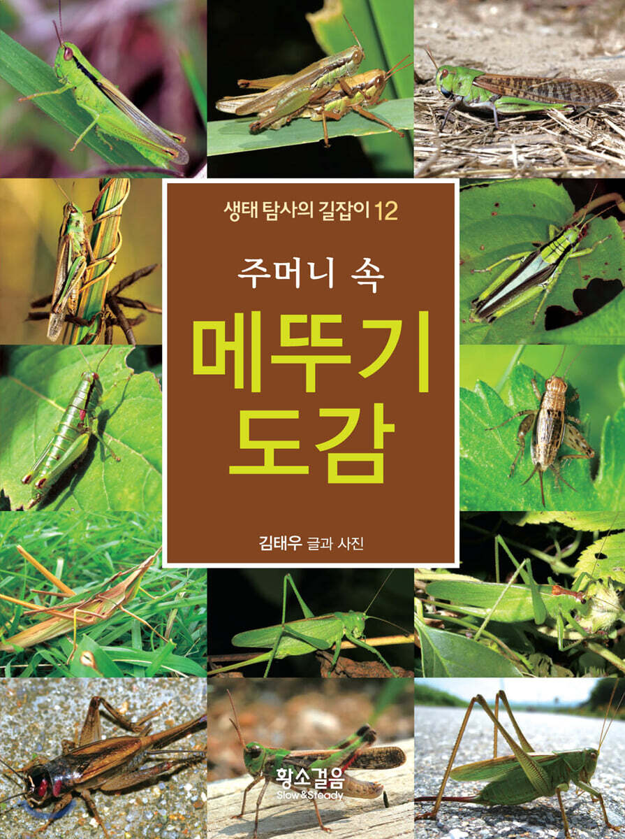 주머니 속 메뚜기 도감