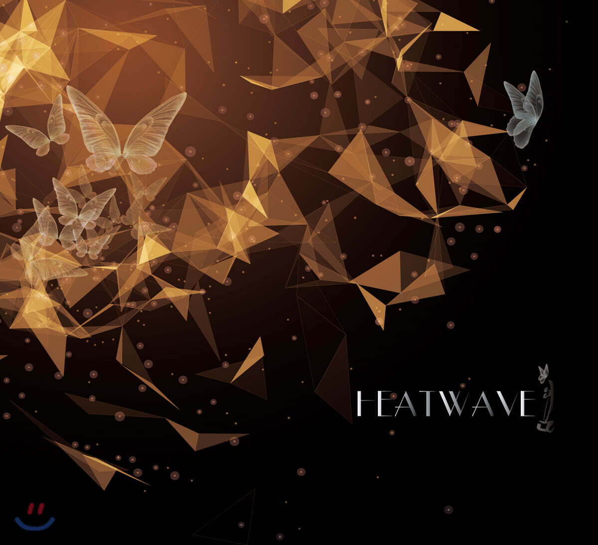 김준희 - 전자해금 - Heat Wave